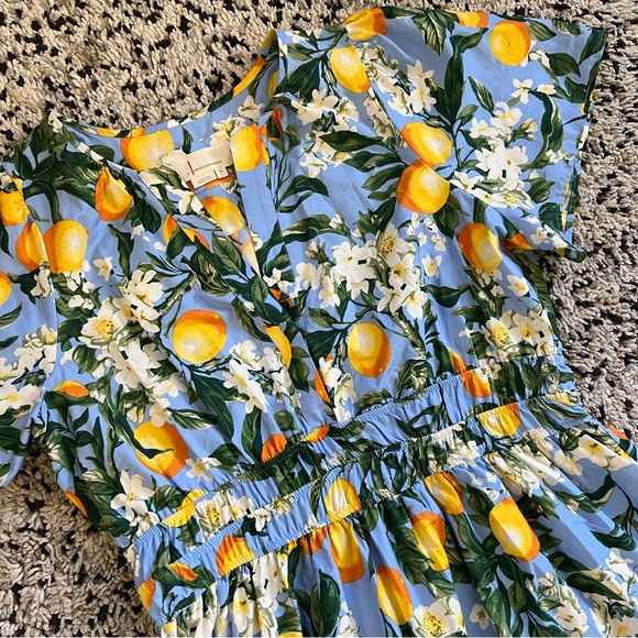Anthropologie Somerset Maxi Dress Tiered Iris Blue Lemon Print Dress Women’s XL - Picture 5 of 14